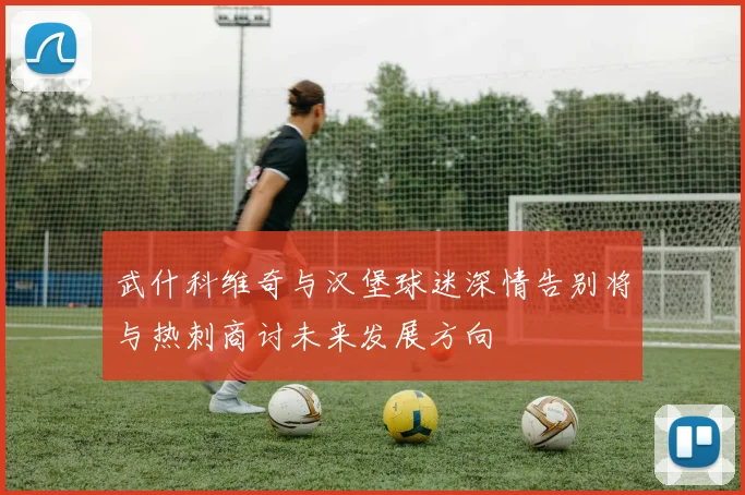 武什科维奇与汉堡球迷深情告别将与热刺商讨未来发展方向